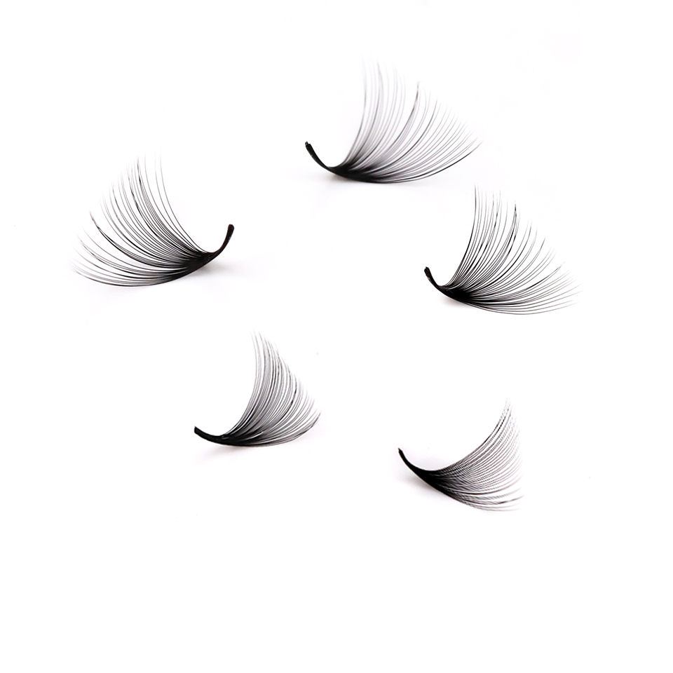 Lashprofessor XL Tray رموش مرو - مراجعة Eyelash Extension Russian وسعره